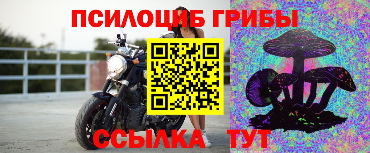 Котлас  Галлюциногенные грибы MAGIC MUSHROOMS  Галлюциногенные грибы ЛСД  Вход с VPN 