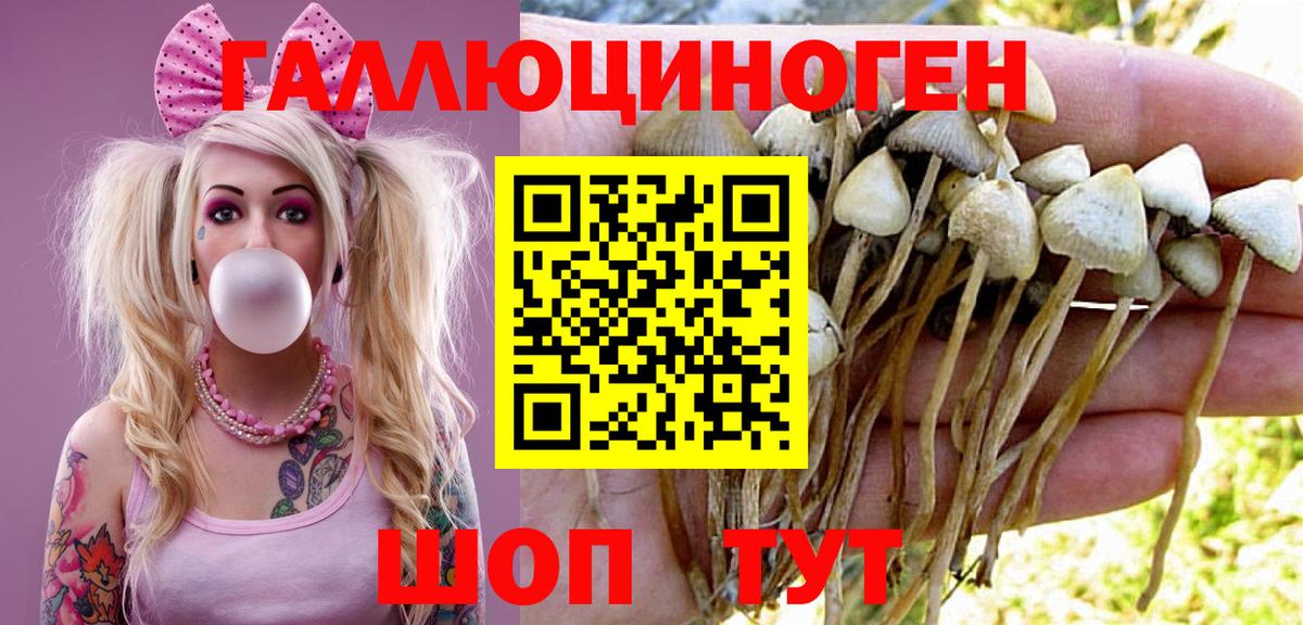 Галлюциногенные грибы Cubensis Котлас